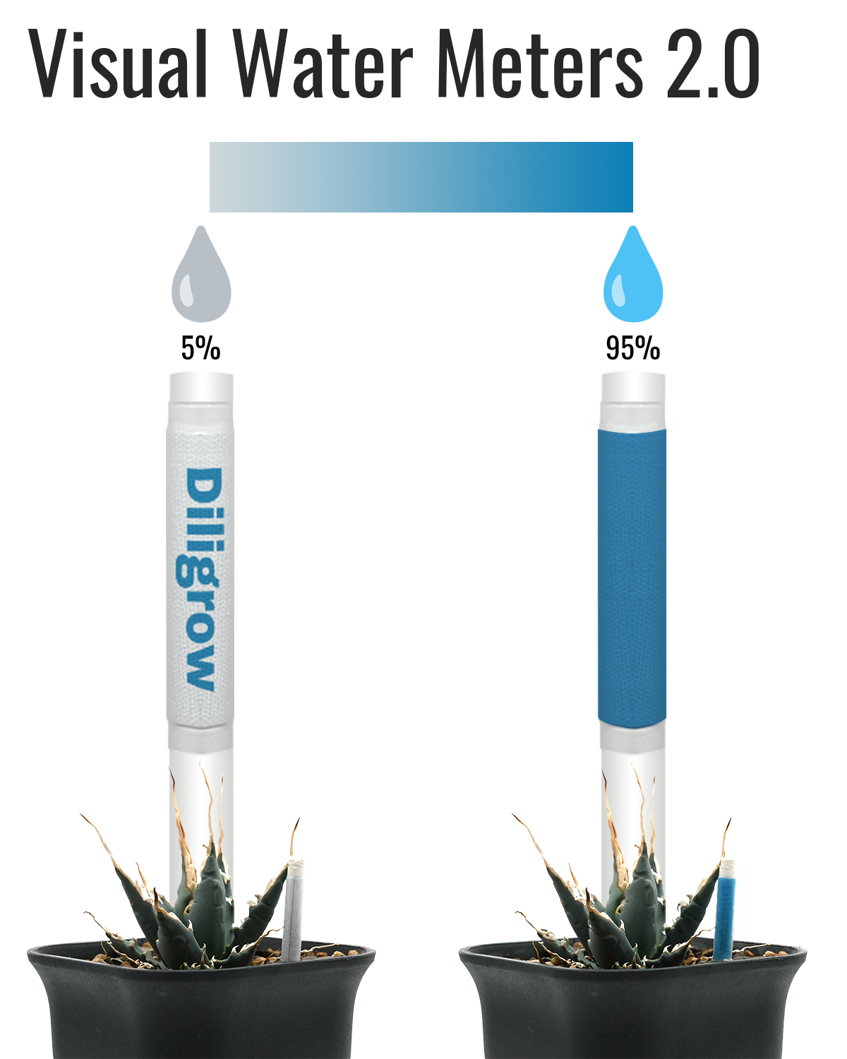 Aquameter – Gen 2 Soil Moisture Meter for Plants & Gardens