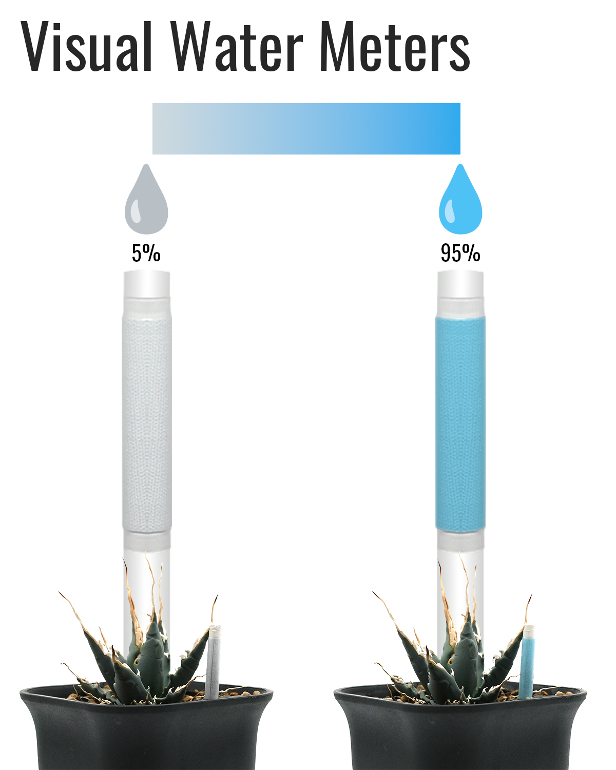 Aquameter – Soil Moisture Meter for Succulents, General Plant, Bonsai, Indoor & Outdoor