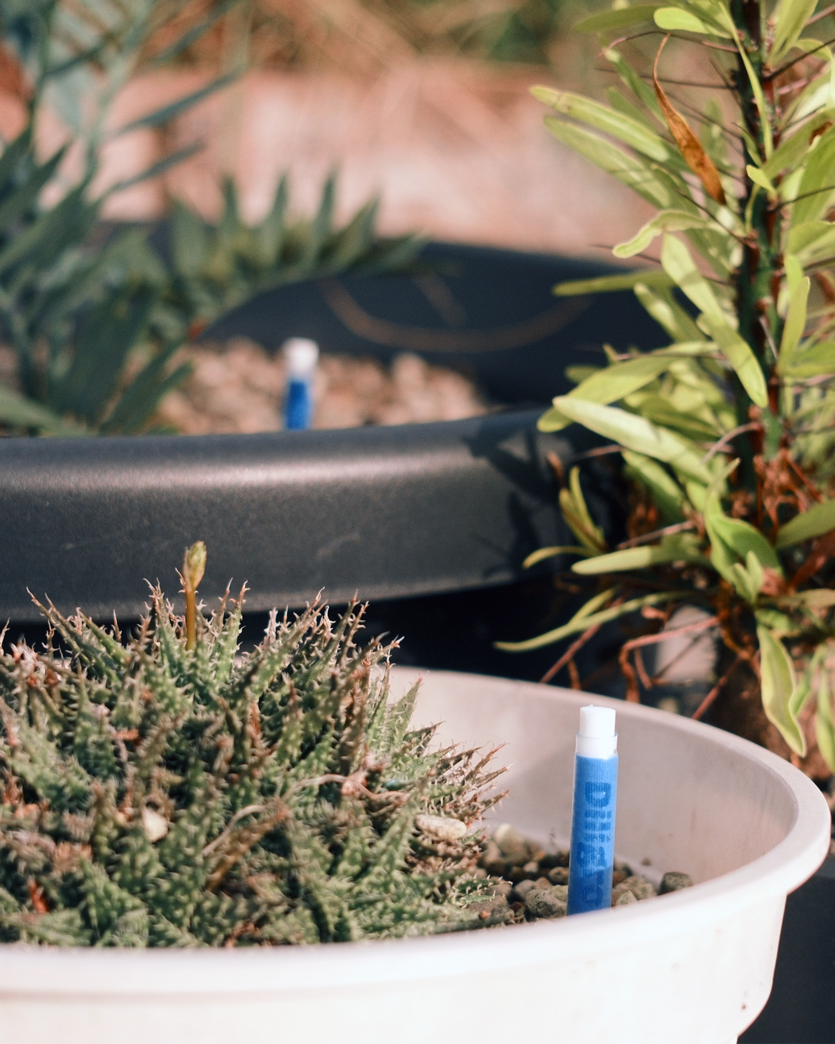 Aquameter – Gen 2 Soil Moisture Meter for Plants & Gardens